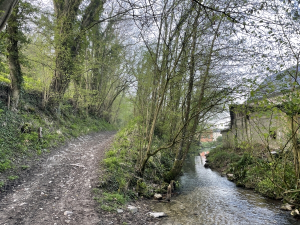Le chemin quitte la berge de la rivière et monte un peu sur le flanc du Mont Sauveur.