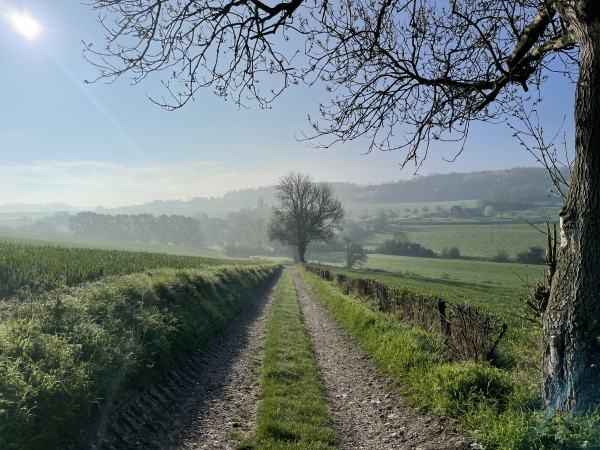 Nous descendons dans la vallée du Ruisseau de Bièvredent. Le ruisseau se jette dans l'Andelle, quelque part sur notre droite. En face de nous, la colline de la Mistaquerie où nous serons tout à l'heure.