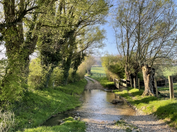 Gué et passerelle sur le Ruisseau de Bièvredent.