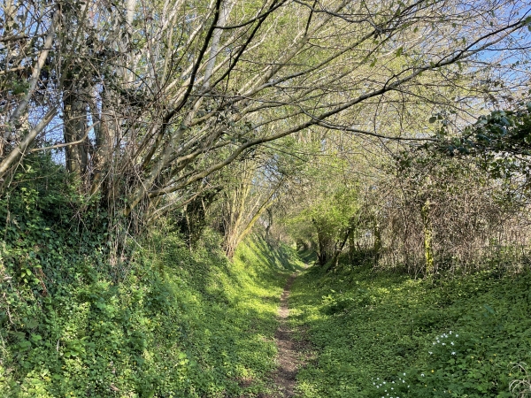 Nous évitons la D1, et entrons dans le centre de Fry par ce chemin creux.