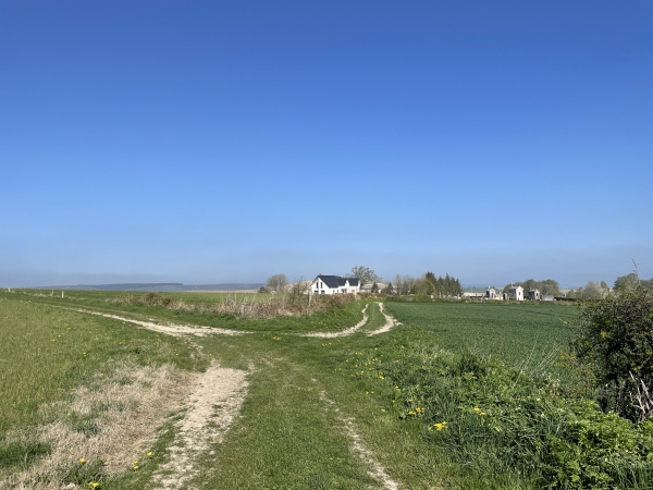Si nous tournions à gauche à la fourche, nous retrouverions nos traces sur le chemin du Mont Huleu. Nous allons prendre à droite, le long du cimetière, pour entrer dans Argueil, côté château.