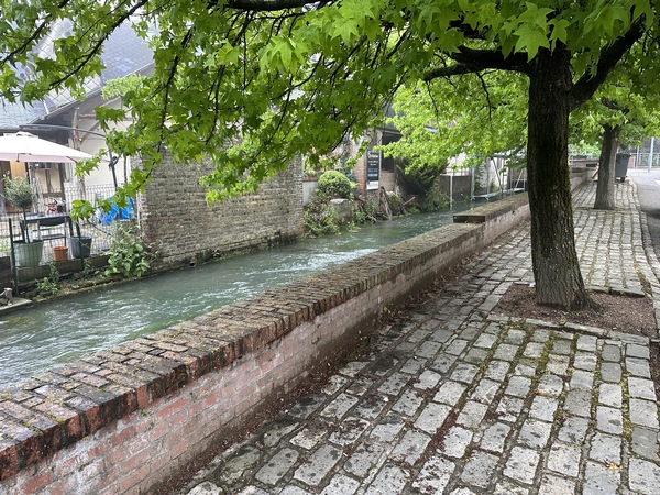 Nous longeons l'Austreberthe en direction du Colombier.