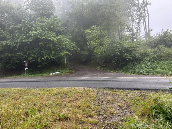 Nous traversons la D44, et continuons en face.