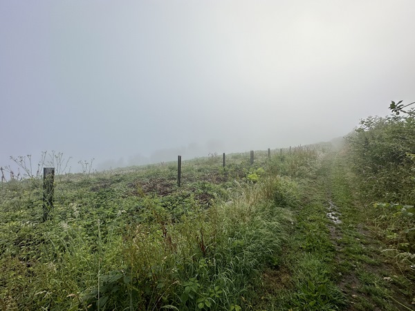 Sur cette partie dégagée, nous devrions profiter du panorama sur la vallée de l'Austreberthe...