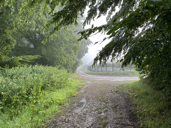 Nous quittons le chemin et rejoignons le GR212 sur la route de la Côte des Monts que nous allons suivre en face.