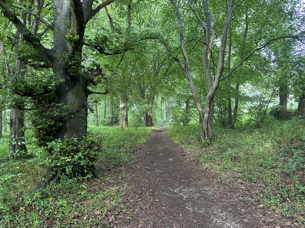 Le coteau ouest est aussi boisé que le précédent.