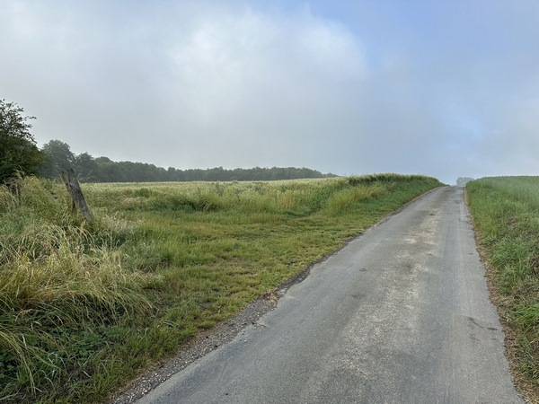 Nous allons quitter ici la petite route pour suivre à gauche ce chemin qui se dirige vers le bois. On peut encore voir un balisage jaune presque effacé. Notre itinéraire s'inspire du circuit Les Bois de Pavilly que l'on trouvait dans le topo guide La Seine-Maritime à pied (2002). Est-ce un vestige du balisage de cet itinéraire ?