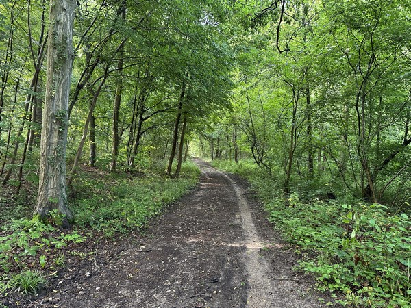 Les bois de circuit sont des bois privés. Les chemins sont ouverts aux marcheurs, mais peuvent être fermés en période de chasse.