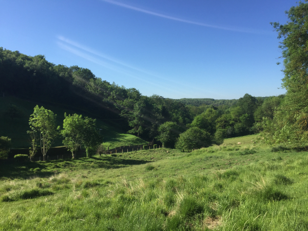 Sentier du Bas Pré, regard arrière sur le chemin que nous avons suivi pour sortir de la forêt.