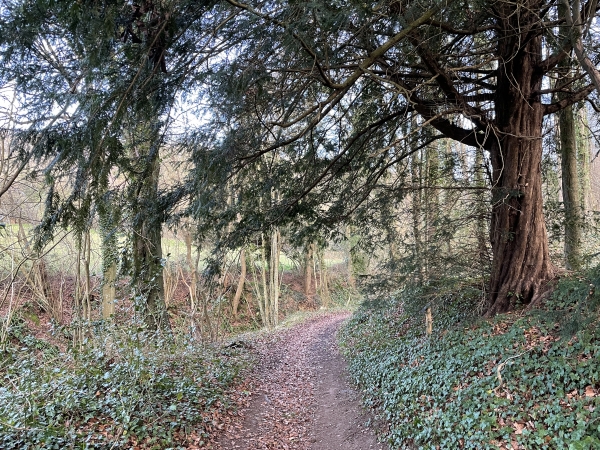 Nous redescendons vers Les Fontaines.