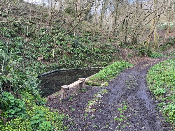 En 2017, nous avions remarqué une mare dont les bords semblaient consolidés (voir la photo dans l'album, répertoire 2017). La résurgence des Fontaines est désormais totalement dégagée. Beau travail !