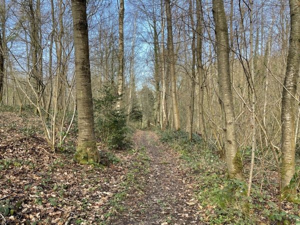 Nous traversons le Val Accard en suivant ce chemin qui un peu différent de celui indiqué sur la carte.