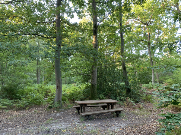 Table de pique-nique à la frontière entre la forêt domaniale de La Londe - Rouvray et la forêt départementale du Bois des Pères. Nous sommes maintenant sur le GR2 dont le tracé ne passe plus par le Hameau des Roches.