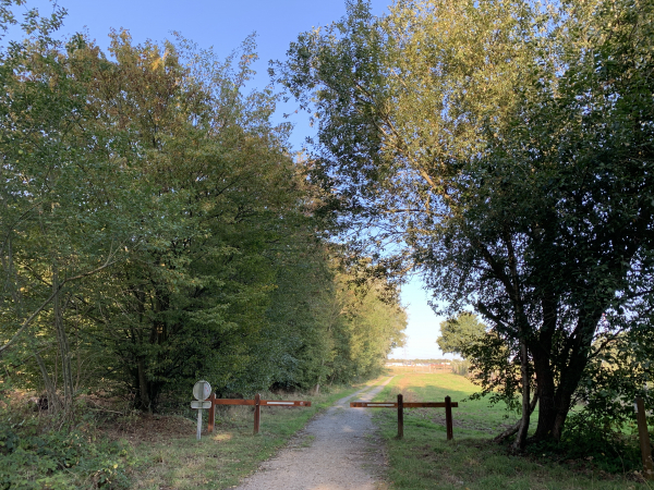 Sortie du Bois des Pères en direction du Petit Essart. Le mot essart désigne une terre défrichée, "gagnée" sur la forêt.