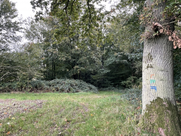 A la sortie du bois de la salle, nous rejoignons le GR224RG que nous allons suivre sur la gauche, comme l'indique le balisage bleu.