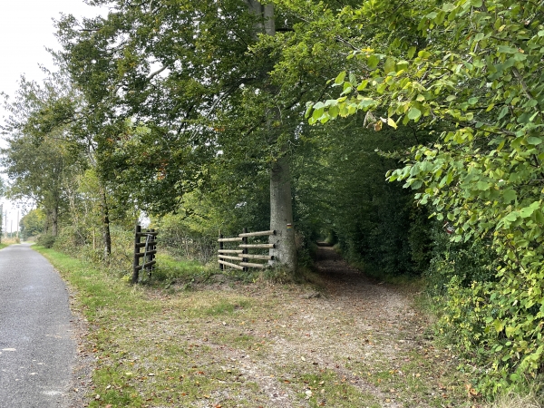 Après la ferme Mahieux, nous quittons sa petite route et suivons ce chemin couvert à droite, toujours sur le GR224RG.