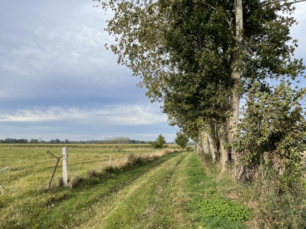 Nous contournons la plaine agricole du nord de Saint-Pierre-des-Ifs pour fermer la boucle.