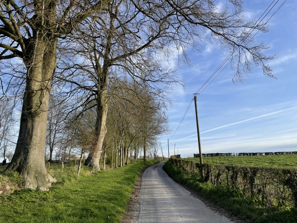 Nous tournons vers le nord, et suivons la petite route du Beau Soleil.