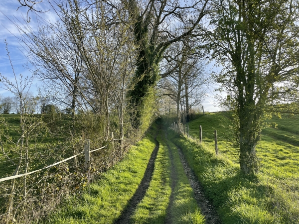Nous quittons la petite route pour suivre le chemin de la Croix aux Loups qui monte à proximité de Vieux-Manoir.