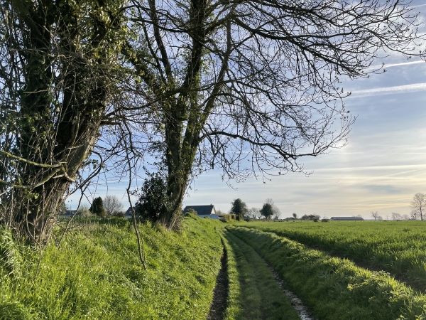 Avant d'entrer dans Vieux-Manoir, nous allons tourner vers le sud-est en direction du bois des Houlettes.