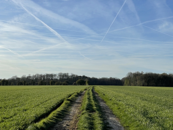 Nous traversons la plaine agricole au sud de Vieux-Manoir. En face de nous, c'est le bois des Houlettes.