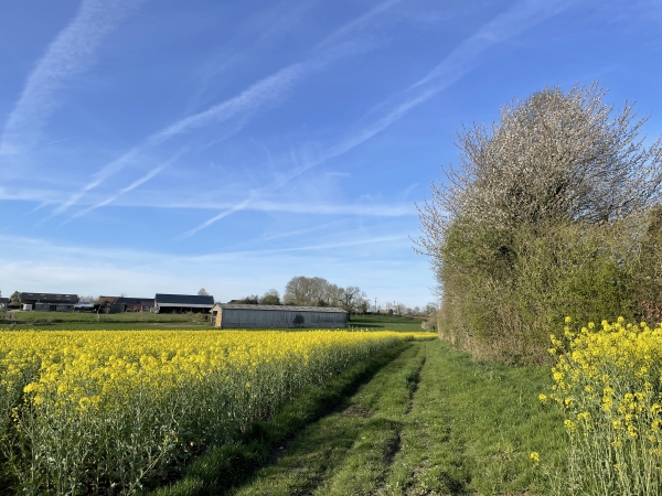 Après avoir traversé la route des Houlettes, nous montons sur le plateau de Fongueuse.