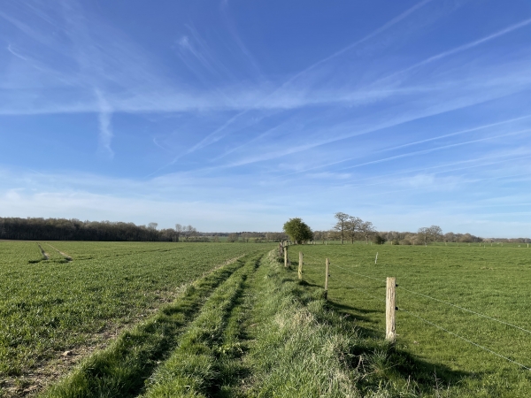 Nous longeons le Fossé aux Dames, qui est une plaine agricole, et allons bientôt tourner vers le nord-ouest pour prendre la direction de Longuerue.