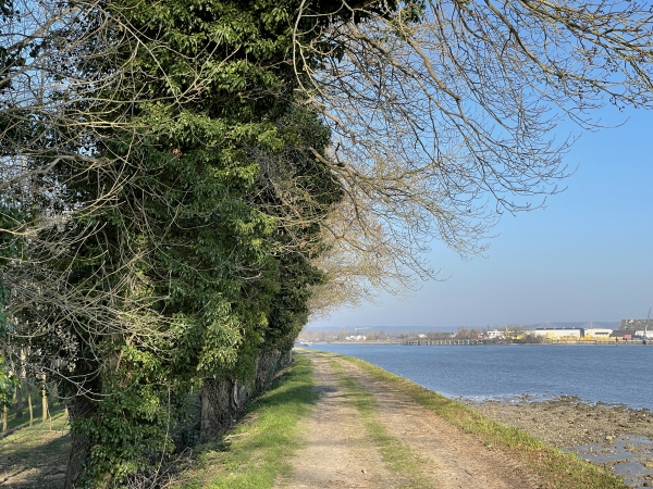 Au niveau de la ferme de la Cour Fleurie, le bord de Seine devient un chemin.