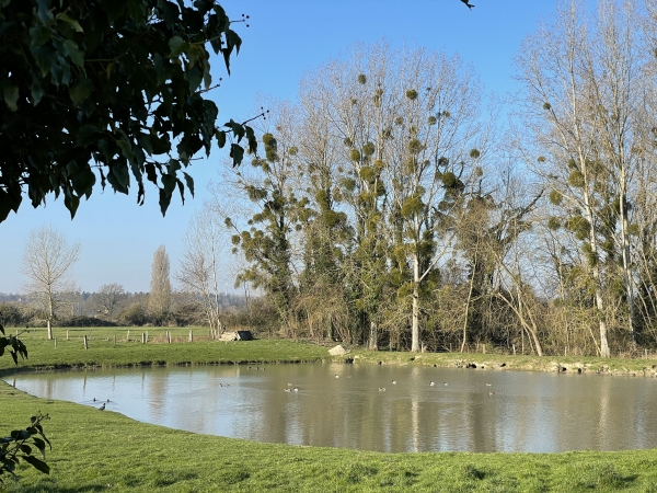 Nous longeons l'étang de la Petite Piette et son gabion.