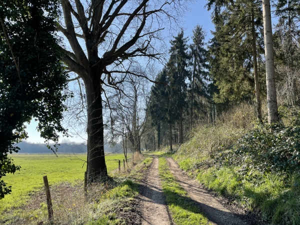 Nous sortons de La Mailleraye-sur-Seine en suivant le chemin de Lavieux.