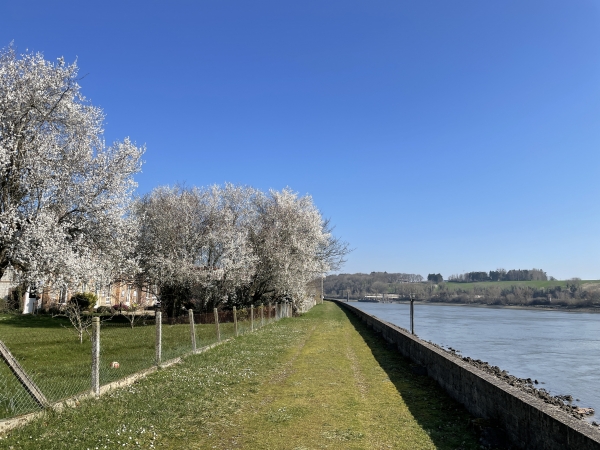 Le printemps se manifeste déjà en ce début du mois de mars.