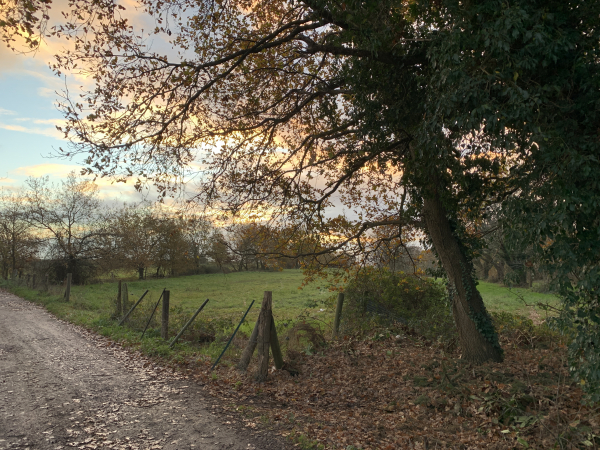 Nous suivons le GR2 pour sortir de Tourville-la-Rivière et monter à la Côte Moulinière.
