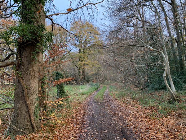 Nous contournons le Bois de la Sahatte. Le château de Sahatte était une maison bourgeoise du XIXe siècle, munie de deux tours. Il reçut quelques obus canadiens en 1944, ne fut jamais réparé, et ses pierres furent réutilisées par le voisinage...