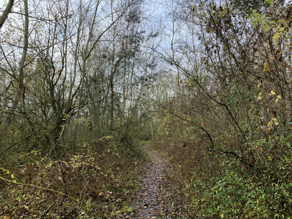 Après avoir traversé Igoville, nous longeons les marais de Seine aux Sablons.