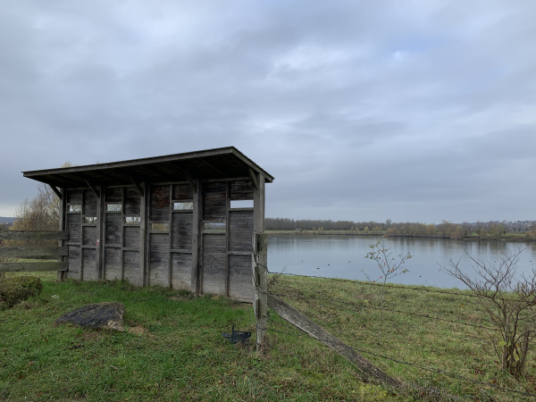 L'étang de Freneuse offre plusieurs postes d'observation de ses nombreux oiseaux.