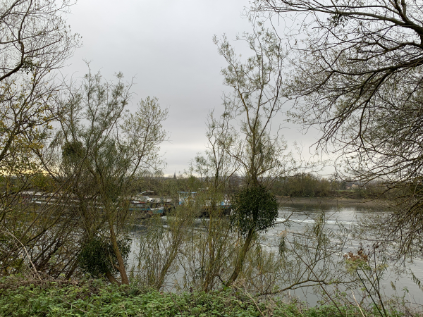 Nous longeons maintenant la Seine avant de rejoindre le bourg de Freneuse.