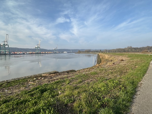 Nous partons du parking du château, et rejoignons le bord de Seine au niveau de la zone d'évitage du port aux conteneurs de Rouen. C'est ici que les porte-conteneurs font demi-tour.