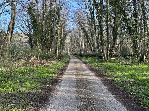 Nous montons l'allée du Canada en direction de la forêt.