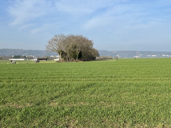 Regard arrière sur la vallée de la Seine depuis l'allée du Canada.