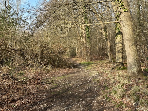 Nous suivons le chemin de lisière sur 600 mètres.