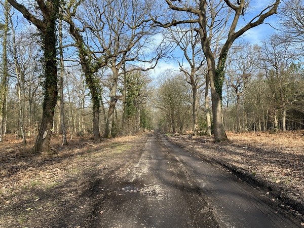 Nous sommes maintenant sur la route du Val-de-la-Haye à Quevillon, désormais allée forestière.