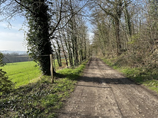 Le chemin du Mont Miré relie Val-de-la-Haye à Hautot-sur-Seine.