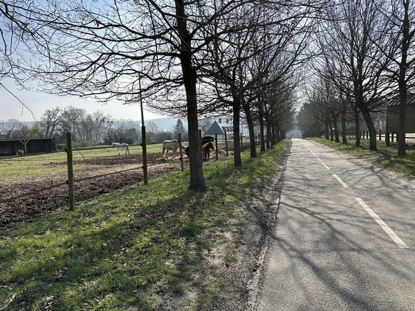Hautot-sur-Seine, la rue des Fendanges (rejointe par la rue de l'Ancien Vignoble) mène directement à l'entrée du château d'Hautot.