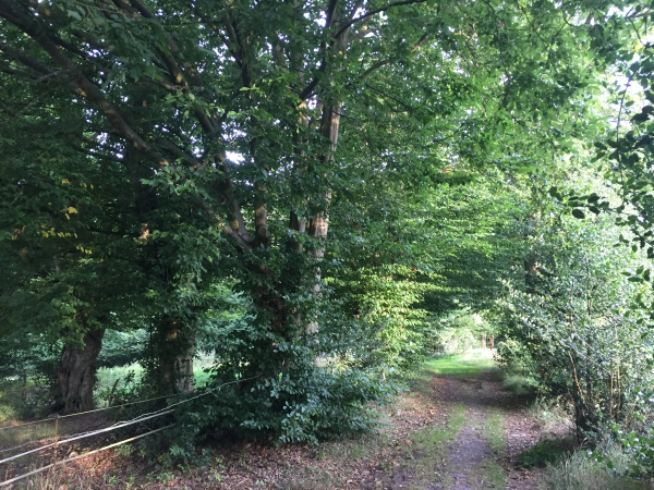 Nous partons du centre de Villers-Ecalles, près de l'église Saint-Jean-Baptiste, nous suivons le Chemin Neuf, puis l'Impasse de l'Enfer qui devient chemin.