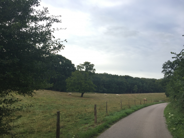 Nous descendons maintenant la petite route de La Coquerie vers le fond de vallée.