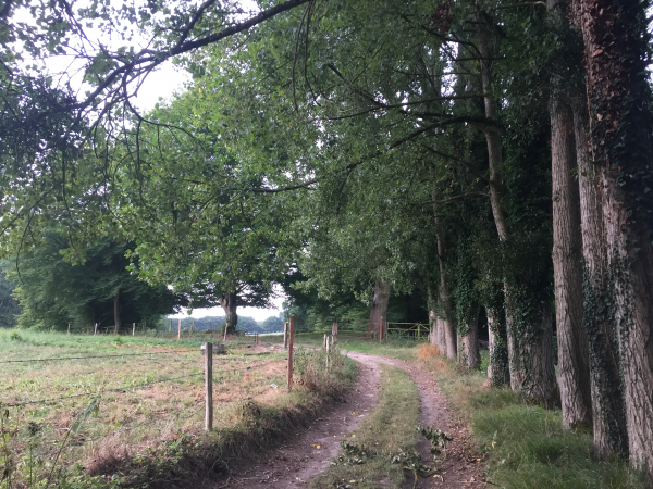 Nous suivons maintenant le chemin dans le fond de vallée. Attention, ce chemin est totalement inondé en période humide.