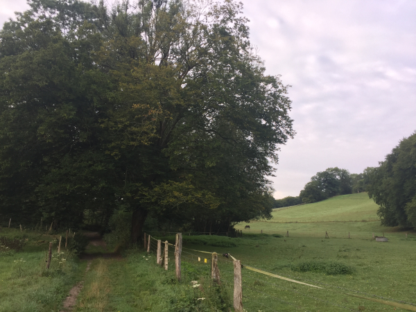 Ce délicieux chemin est un ruisseau en période humide. En février 2021, nous avons dû rebrousser chemin. Nous sommes bien équipés, mais au-delà de 50cm de profondeur entre les deux rangées de barbelés, on ne peut rien faire...