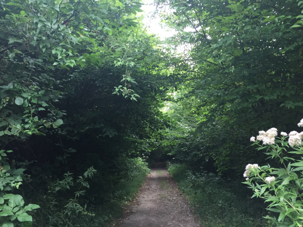 Nous longeons l'Autreberthe en direction du Paulu.