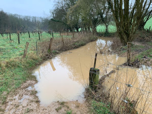 Photo n°14 de la randonnée Chemins boisés et Austreberthe (Villers-Ecalles)