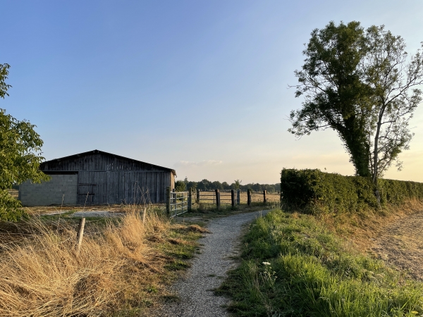 Nous prenons l'allée des Charmilles en suivant les balises jaunes de ce circuit.